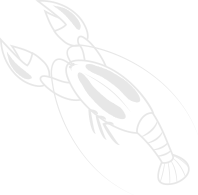 shrimp icon